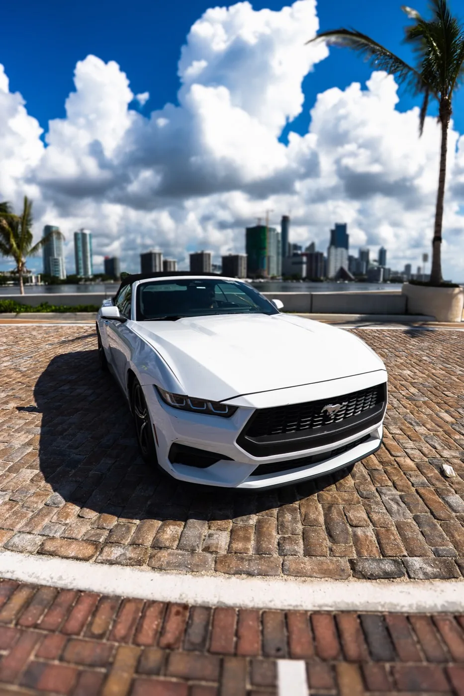 Ford Mustang 2024 in Miami, photo 5